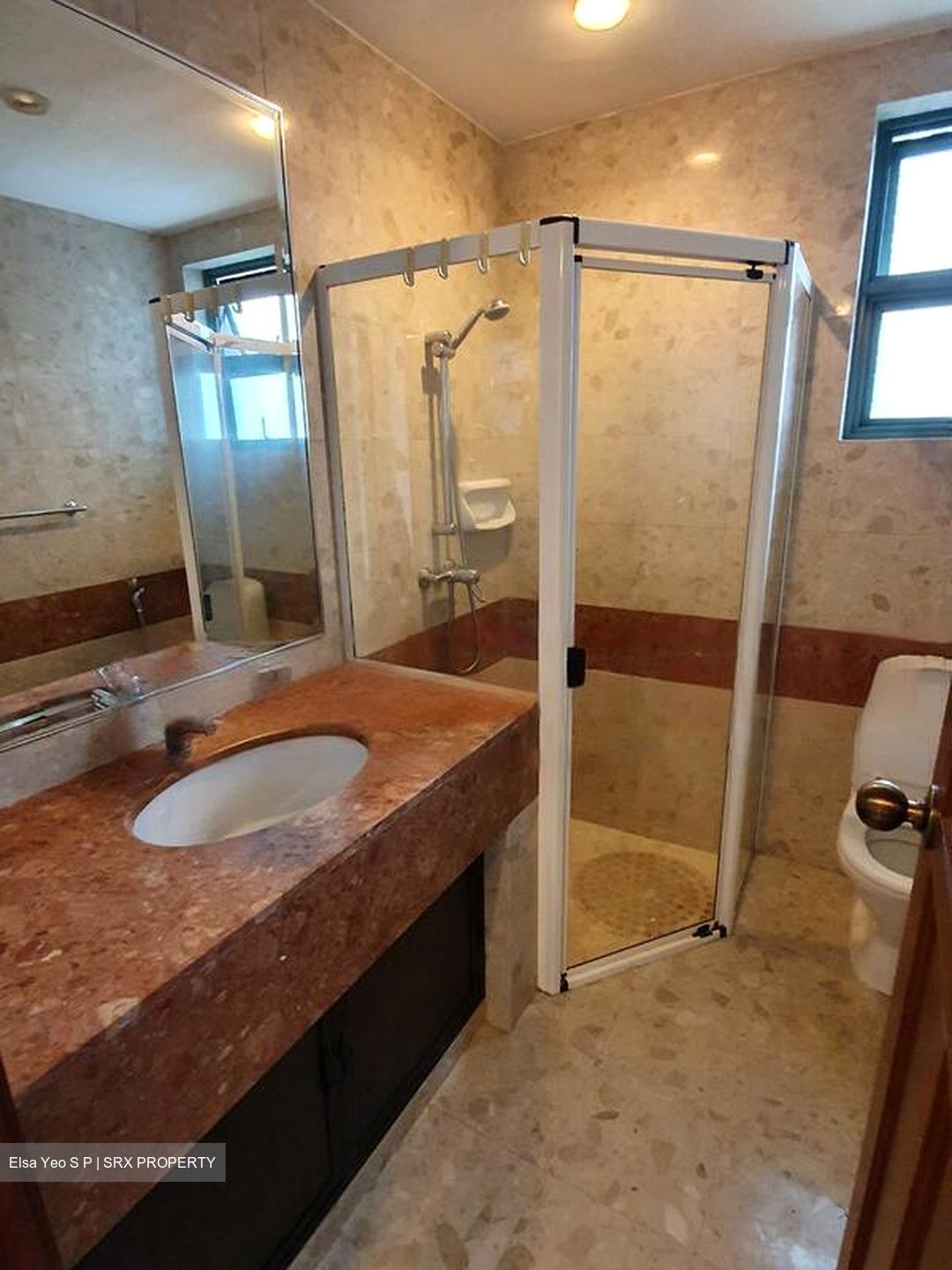 Merawoods (D23), Condominium #473051671